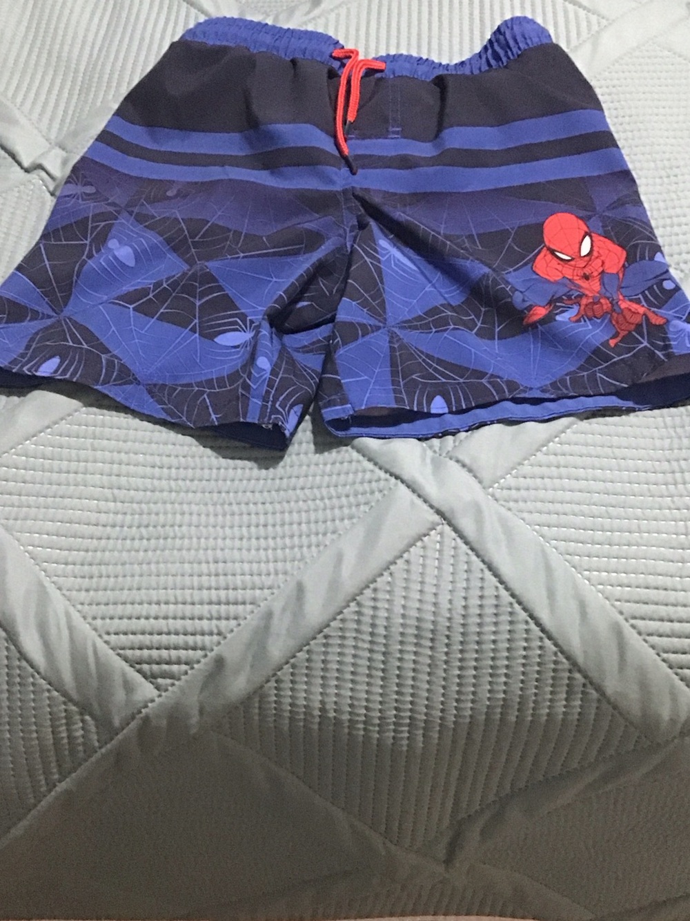 Marvel Boys' Spider-Man Blue and Red Swim Trunks